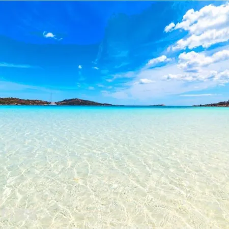Casa Del Mirto A 800 M Dalla Spiaggia Di Cala Girgolu Casa vacanze
