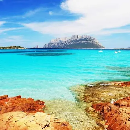 Сasa de vacaciones La Casa Di Pier Monte Petrosu